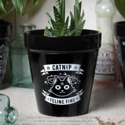 New Alchemy Catnip - Kukkaruukku Goottikamaa|Kissateema