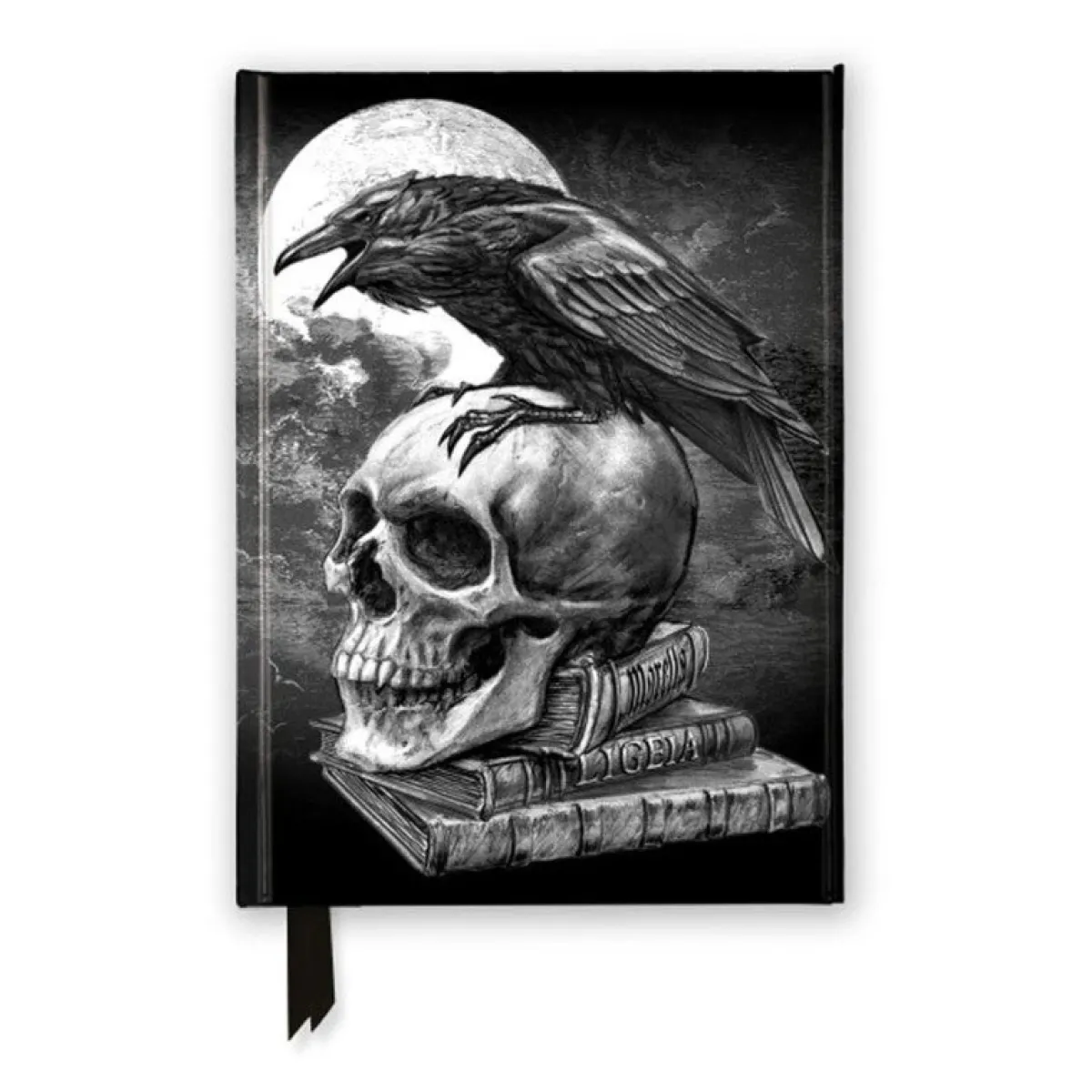 New Poe's Raven - Muistikirja Goottikamaa|Toimistotarvikkeet