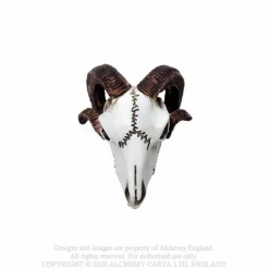 Best Rams Skull - Mini koriste esine Pääkallokamaa|Koriste-Esineet