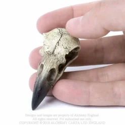 Clearance Raven Skull - Koriste esine Keltti & Viikinki|Pääkallokamaa