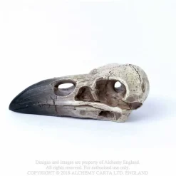 Clearance Raven Skull - Koriste esine Keltti & Viikinki|Pääkallokamaa