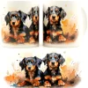 Clearance Dachshund Puppies IV -Muki Koiramukit