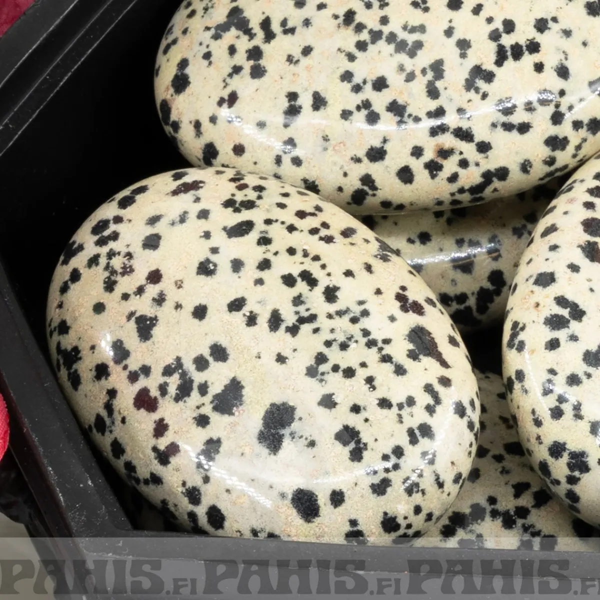 Sale Dalmatian -jaspis - Huolikivi (Kämmenkivi) Huolikivet|Dalmatian-Jaspis