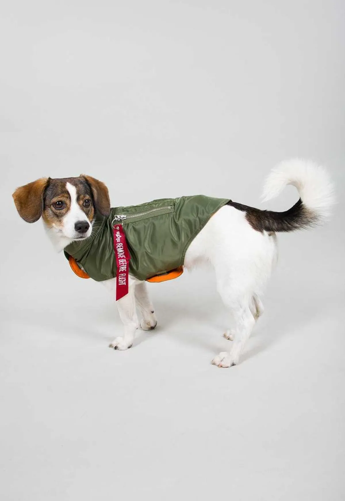 Dog MA-1 Jacket- koiran takki Muut Tarvikkeet|Lemmikkitarvikkeet