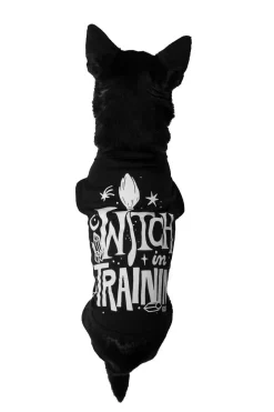 Sale Witch in training - Koiran paita Goottikamaa|Lemmikkitarvikkeet