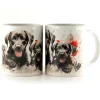 Discount Labrador Puppies -Muki Koiramukit