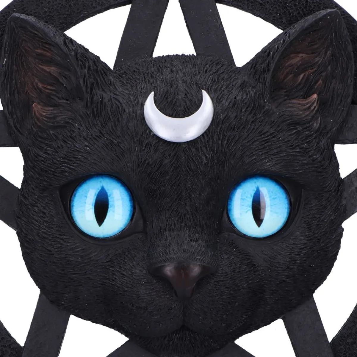 Clearance Feline Worship - Koriste Goottikamaa|Kissateema