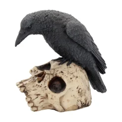 Outlet Ravens Remains - Koriste Keltti & Viikinki|Koriste-Esineet