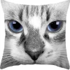 Ragdoll Cat - Koristetyynynpäällinen Kissateema|Sisustustekstiilit