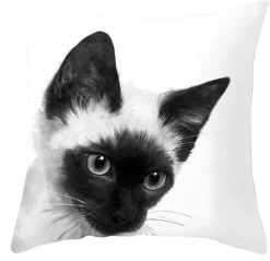 New Siamese Cat - Koristetyynynpäällinen Kissateema|Sisustustekstiilit